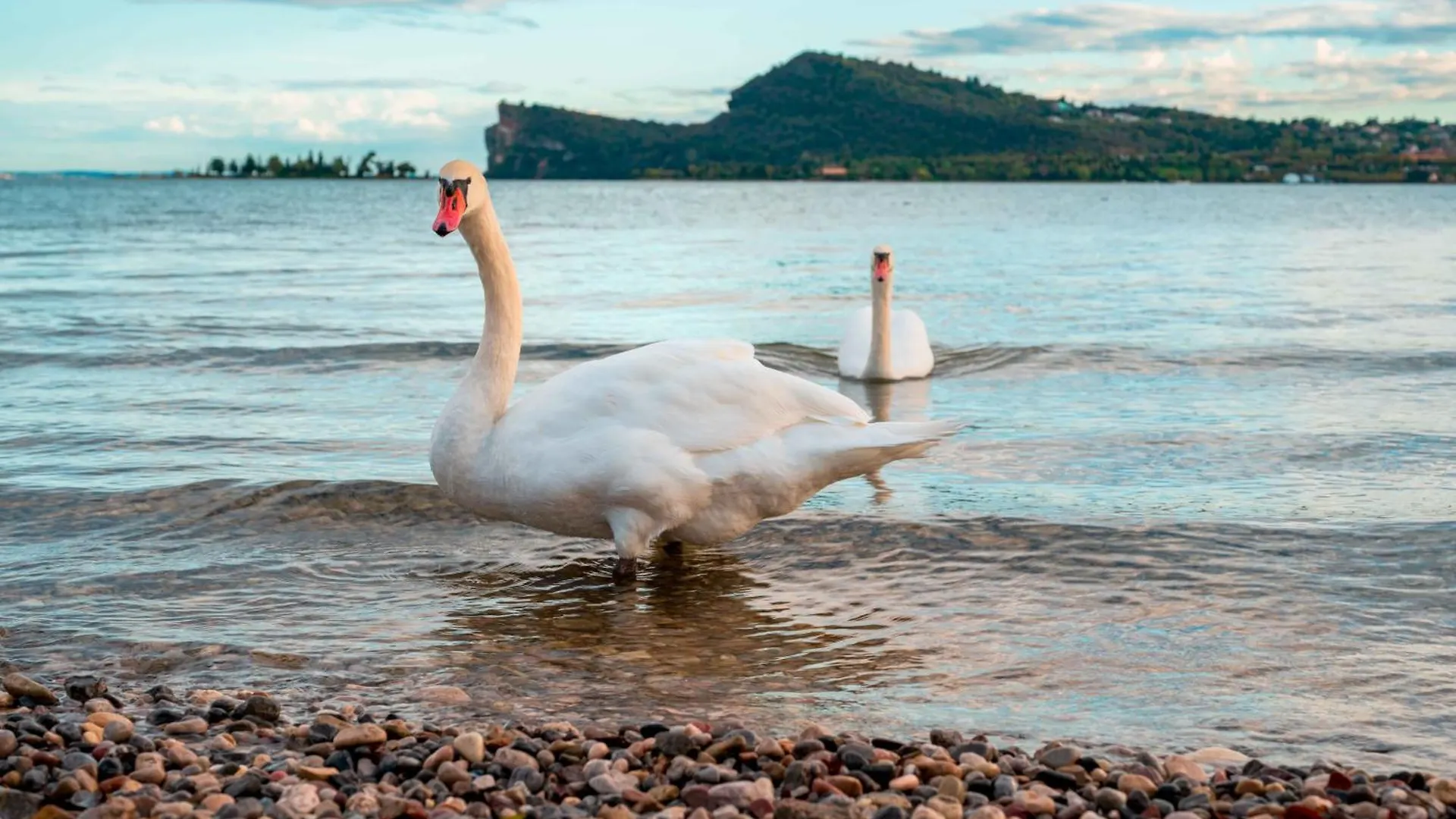 San Carlo Appartamenti Vacanze Soiano del Lago Olaszország
